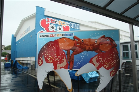 エビとカニの水族館