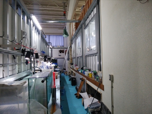 エビとカニの水族館