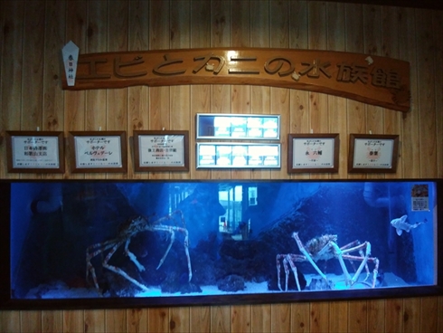 エビとカニの水族館