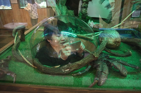 エビとカニの水族館