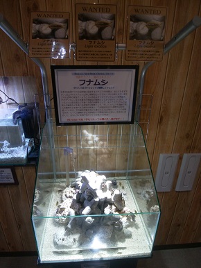 エビとカニの水族館