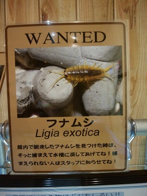 エビとカニの水族館