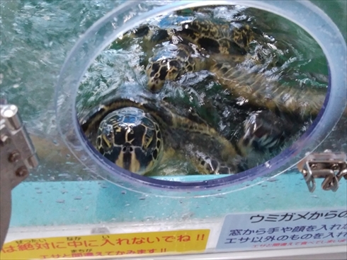 エビとカニの水族館