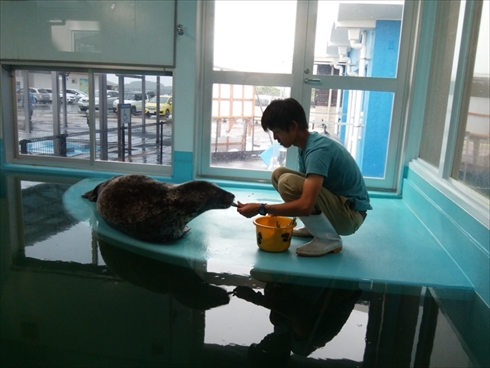 エビとカニの水族館