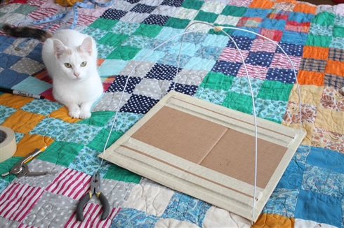 5分で作れる猫テント