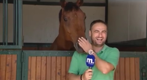 馬とリポーター