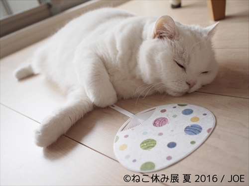 ねこ休み展　夏　2016