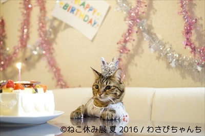 ねこ休み展　夏　2016