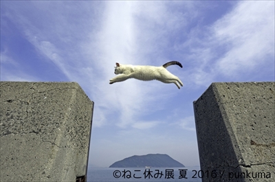 ねこ休み展　夏　2016