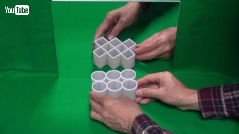 錯視 筒 Best Illusion of the Year Contest 2016