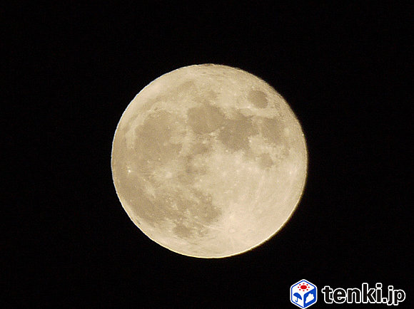 月に関する話題