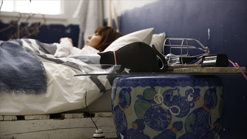 ペット型ペーパー加湿器