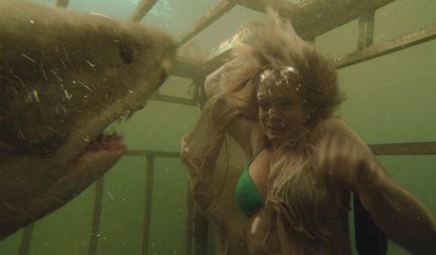 シャーク・ナイト