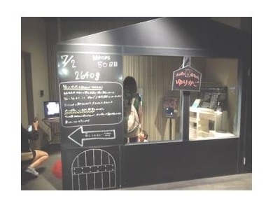 すみだ水族館　マゼランペンギン赤ちゃん