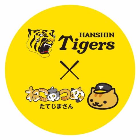 たてじまさんかわいい