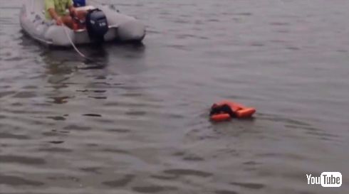 アライグマ 救助 ボート