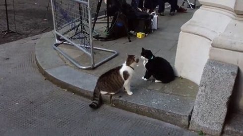 イギリスの2大公務員猫「首相官邸ネズミ捕獲長」と「外務・英連邦省ネズミ捕獲長」のバトルが勃発