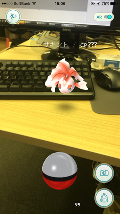ポケモンGOプレイ画面