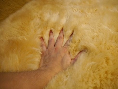 三鷹の森ジブリ美術館