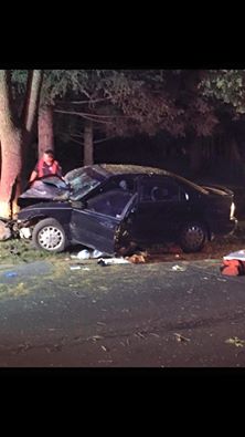 ポケモンで木に激突