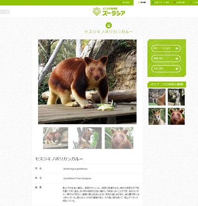 セスジキノボリカンガルー