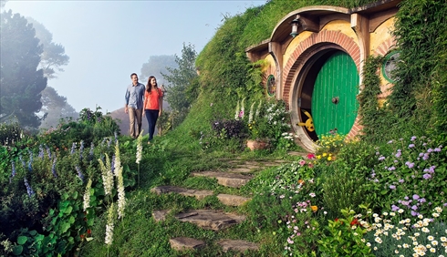 ニュージーランドにポケモンいそう