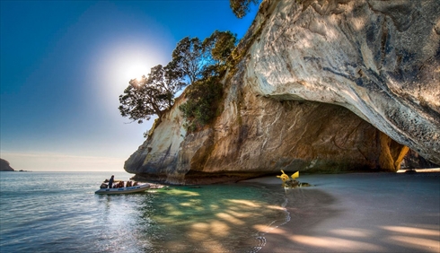 ニュージーランドにポケモンいそう