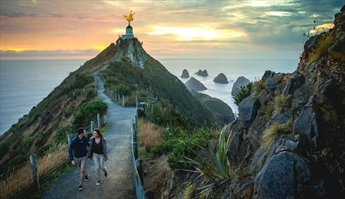 ニュージーランドにポケモンいそう