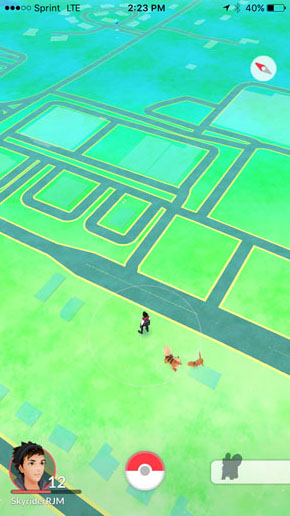 ポケモンゲット