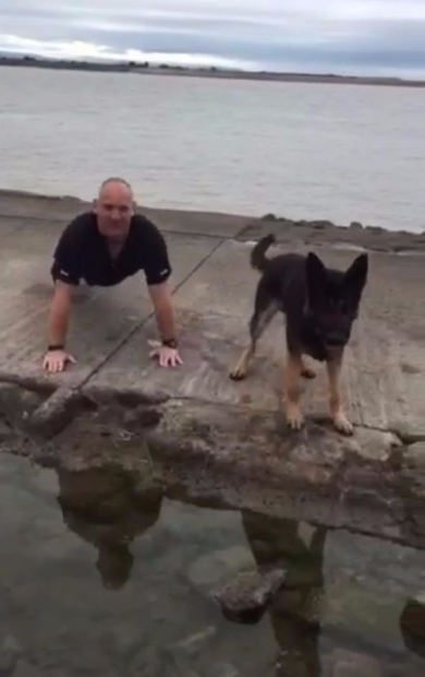 警察犬 腕立て 一緒