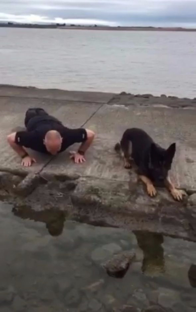 警察犬 腕立て 一緒