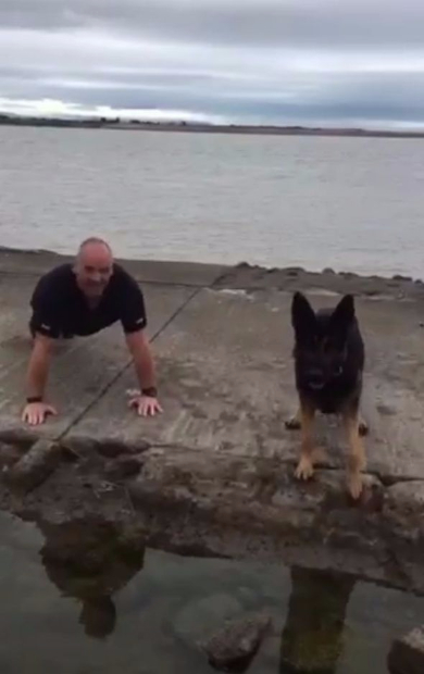 警察犬 腕立て 一緒