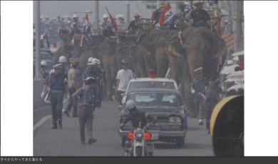 道路を埋め尽くすゾウ（番組公式サイトより）