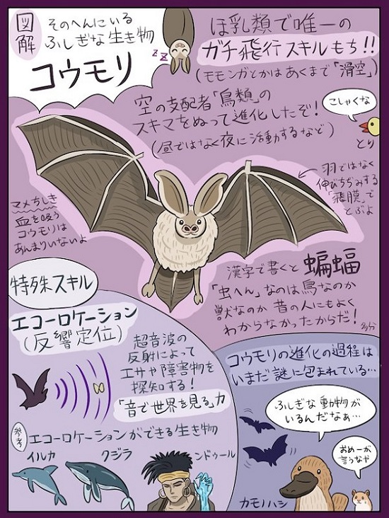 絵 「不思議な生き物」