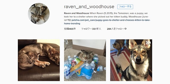 raven_and_woodhouseのInstagram