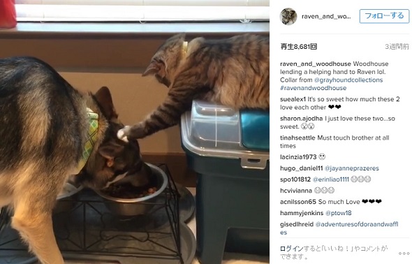 raven_and_woodhouseのInstagram