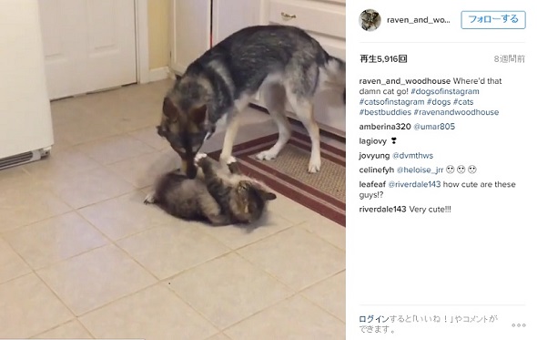 raven_and_woodhouseのInstagram