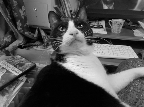 ねとらぼ生物部編集長