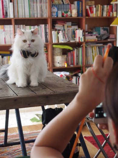 ニャンスタグラム