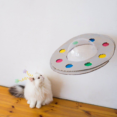 ニャンスタグラム