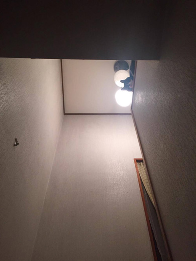 ニャンスタグラム