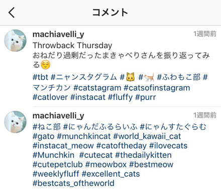 ニャンスタグラム