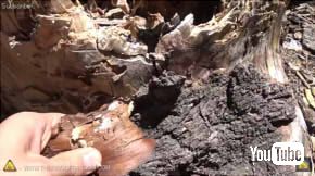 フリーザーバッグ火起こし