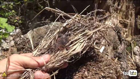 フリーザーバッグ火起こし