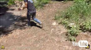 フリーザーバッグ火起こし