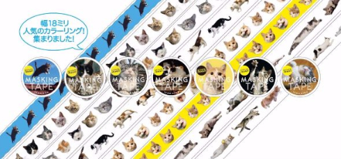 岩合光昭 ねこ 猫 写真展 全国17会場