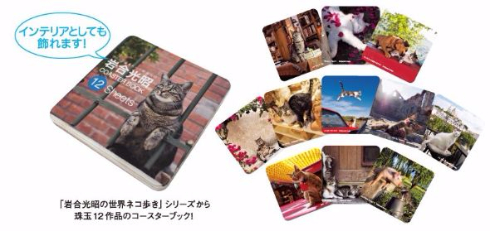 岩合光昭 ねこ 猫 写真展 全国17会場