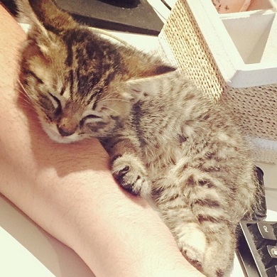 fan114さんのツイート