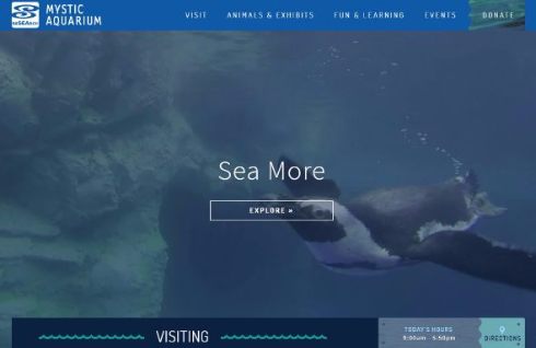 ペンギン 3Dプリンタ ブーツ 水族館