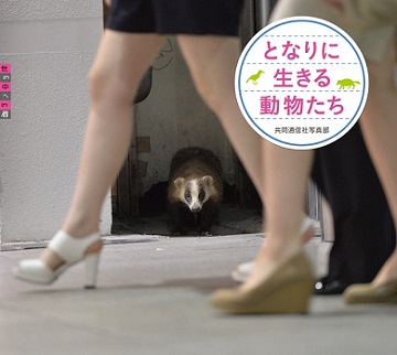 となりに生きる動物たち